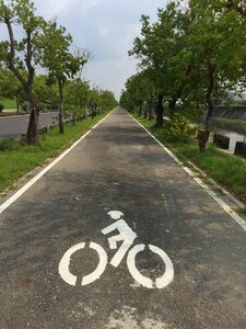 Bicycle car road trees photo