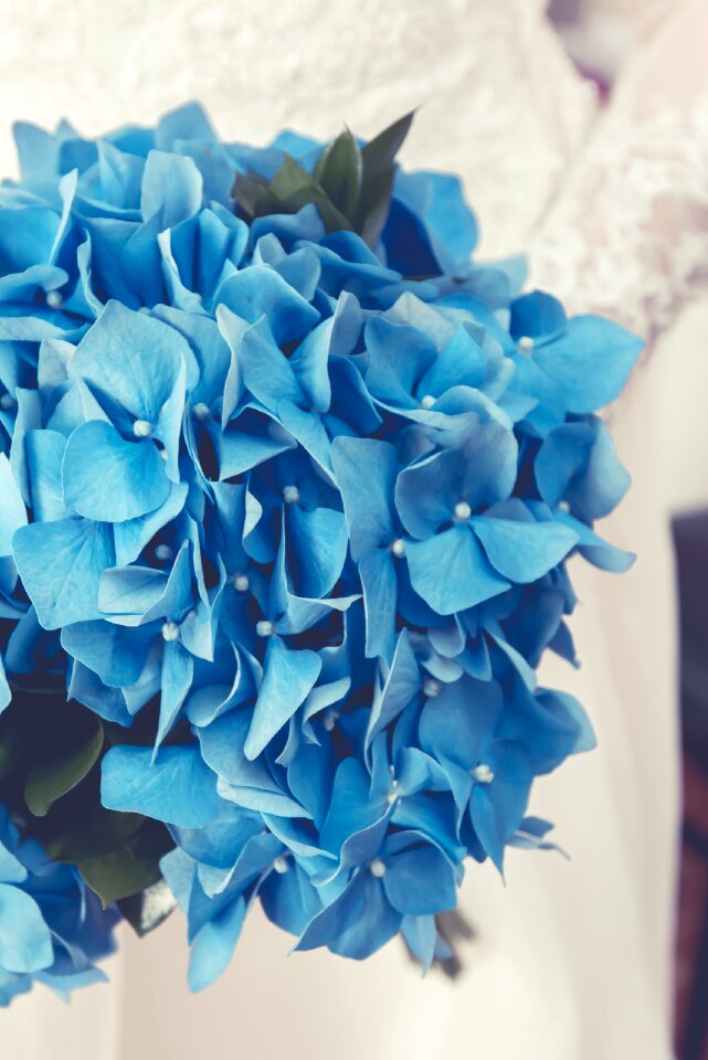 White bouquet wedding flowers