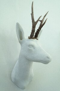 Sculpture sculptor steinmetz