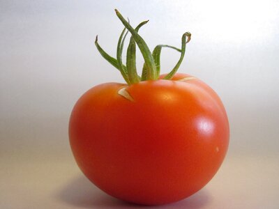 Vegetable salad