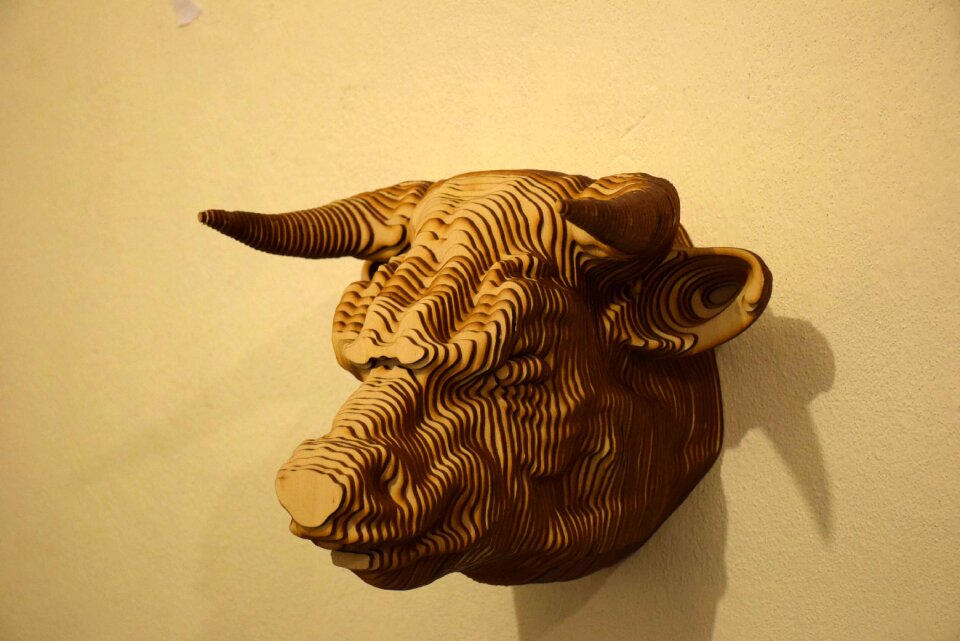 Animals wall living nature
