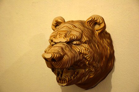 Animals wall living nature