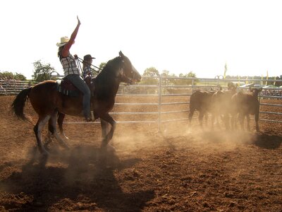 Equestrian cowboy western photo
