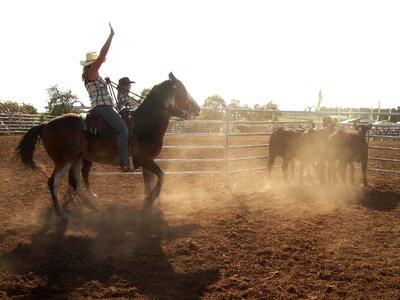 Equestrian cowboy western