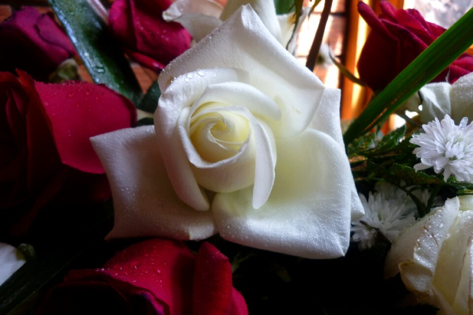 Bouquet flowers roses