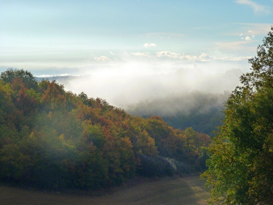 Mist early in the morning nature photo