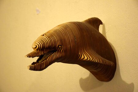 Animals wall living nature