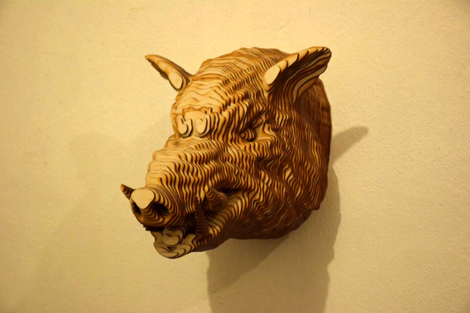 Animals wall living nature