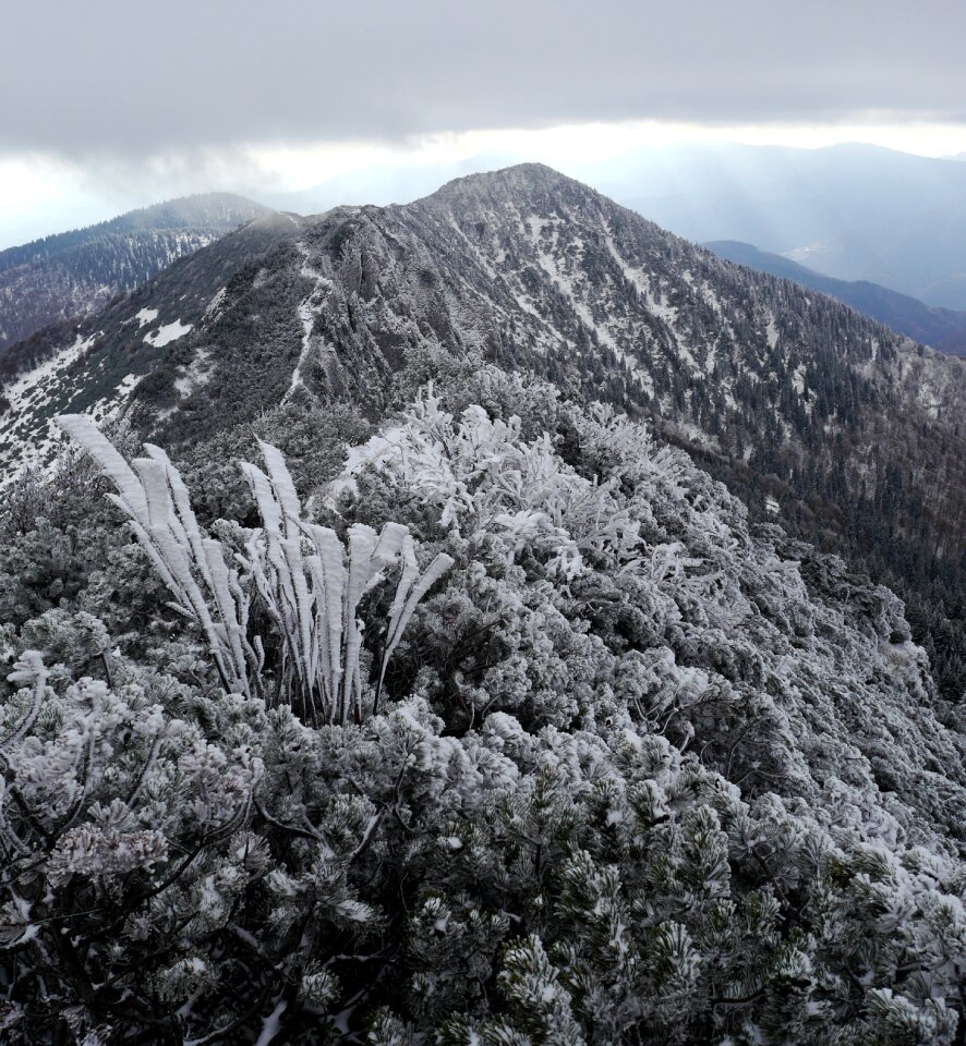 Mountains fatra country