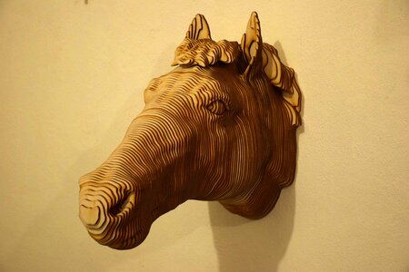 Animals wall living nature