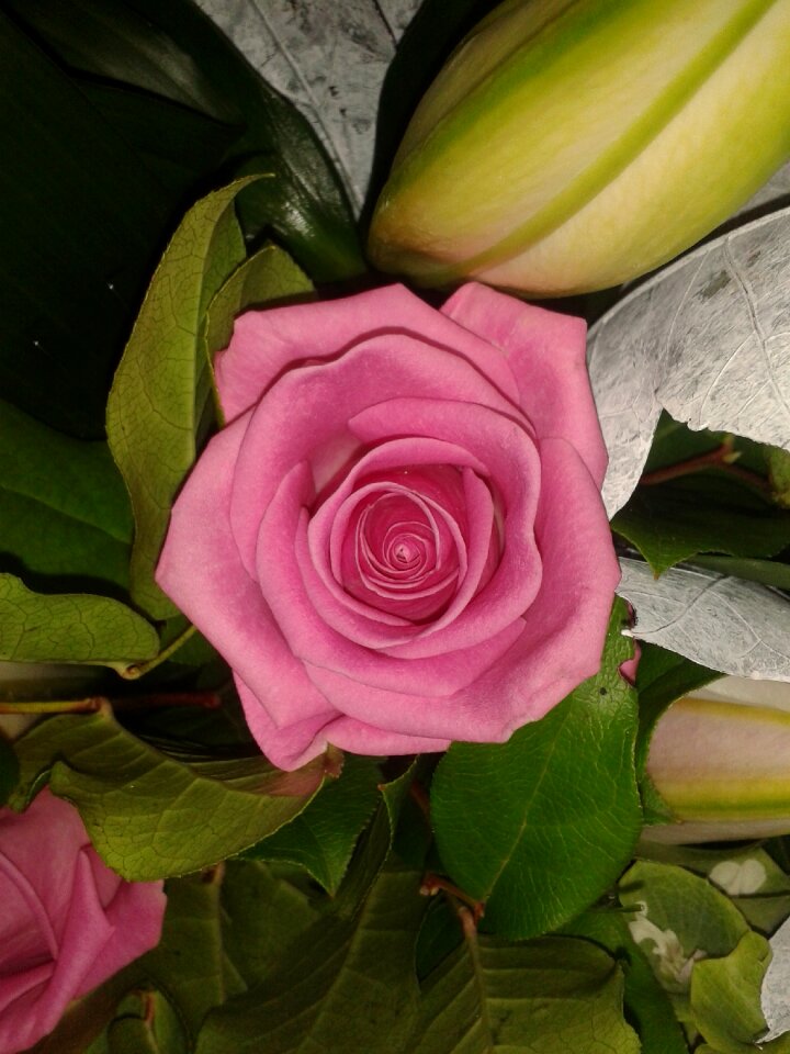 Petals bouquet
