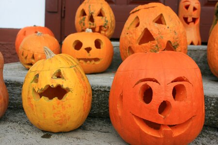 Halloween pumpkin carvings