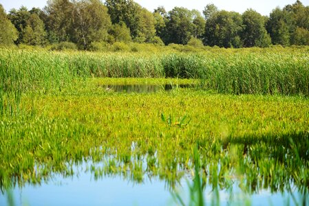 The national park nature water