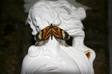 Statue butterfly face