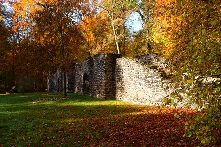 Fall color feilenmoos clumping stone