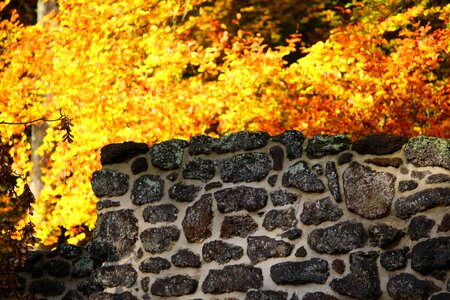 Grotto ruin castle park