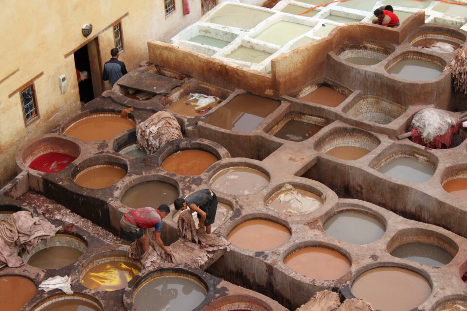 Tannery morocco skins
