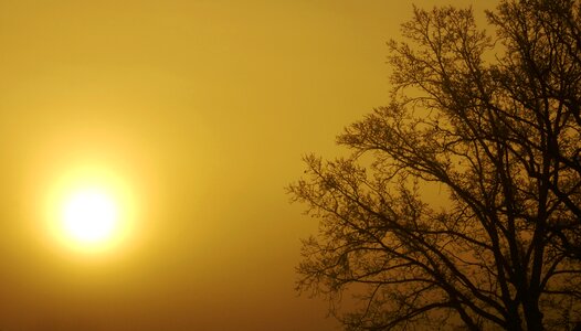 Glow gold autumn