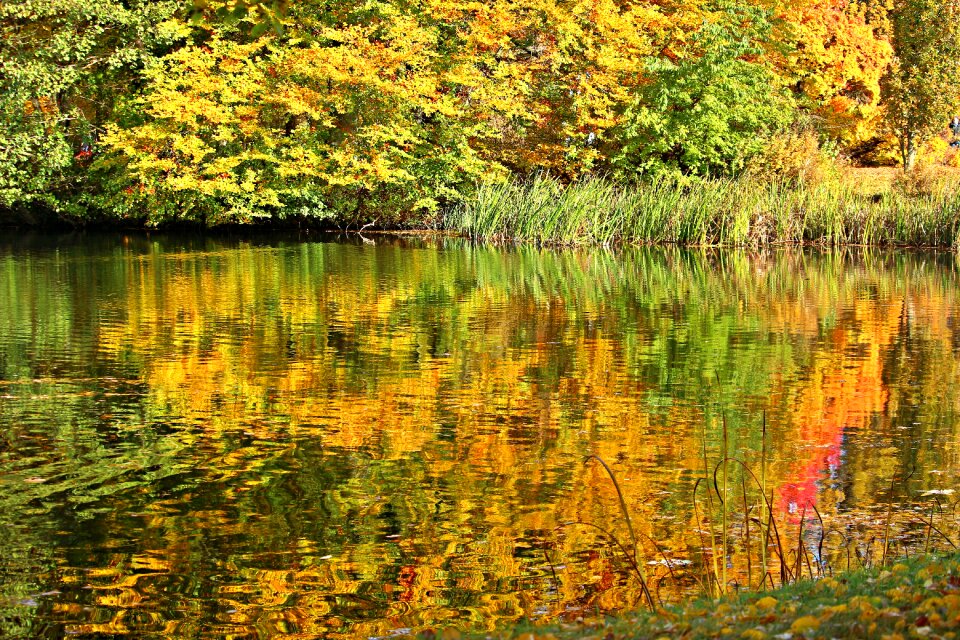 Water mirroring ludwigslust-parchim
