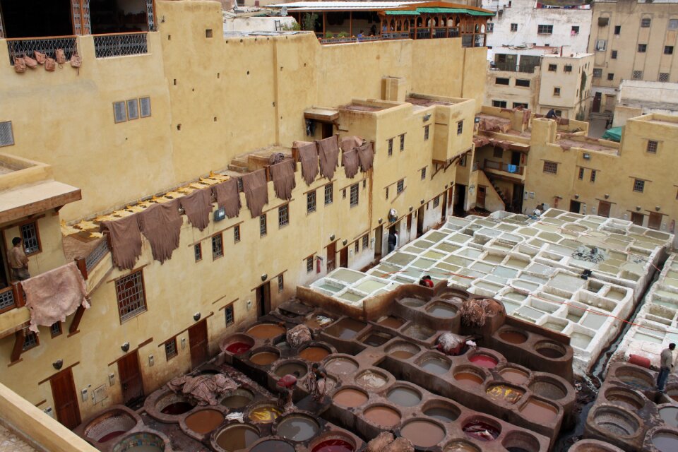 Tannery morocco skins