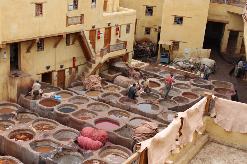 Tannery morocco skins