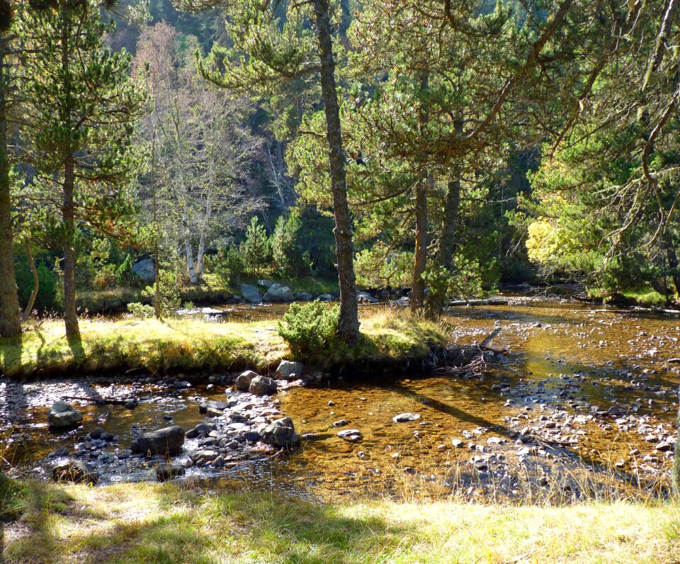 Water water courses landscape
