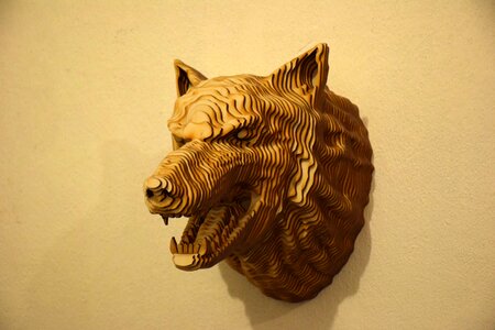 Animals wall living nature