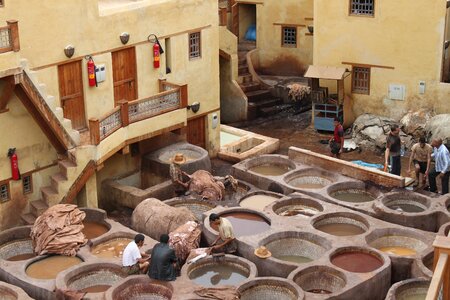 Tannery morocco skins