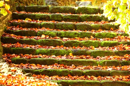 Stair step castle park ludwigslust-parchim photo