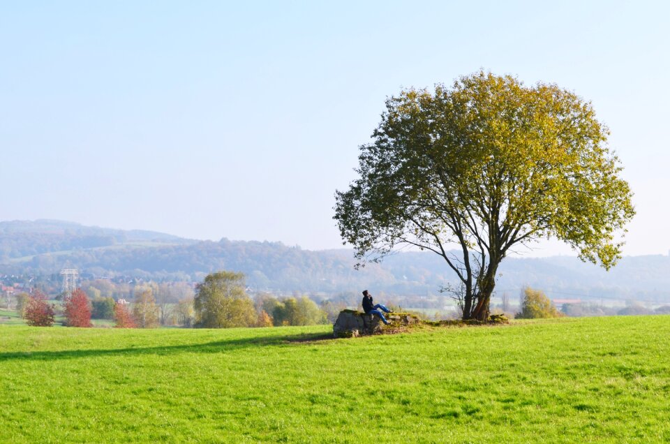 Landscape polyana nature