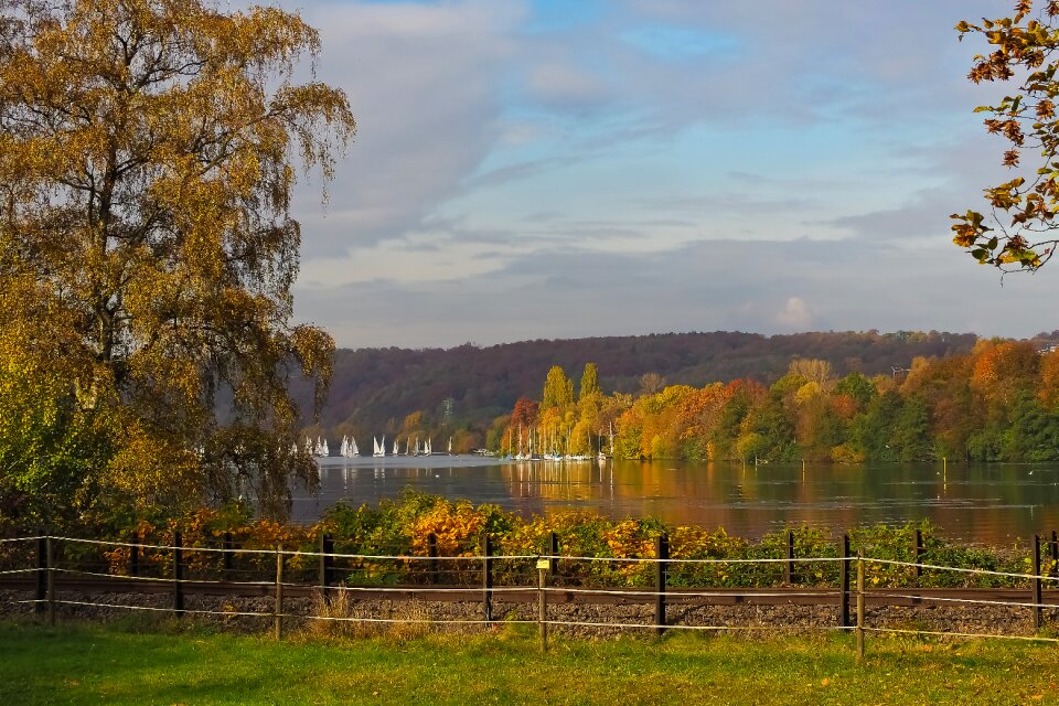 Landscape forest farbenspiel
