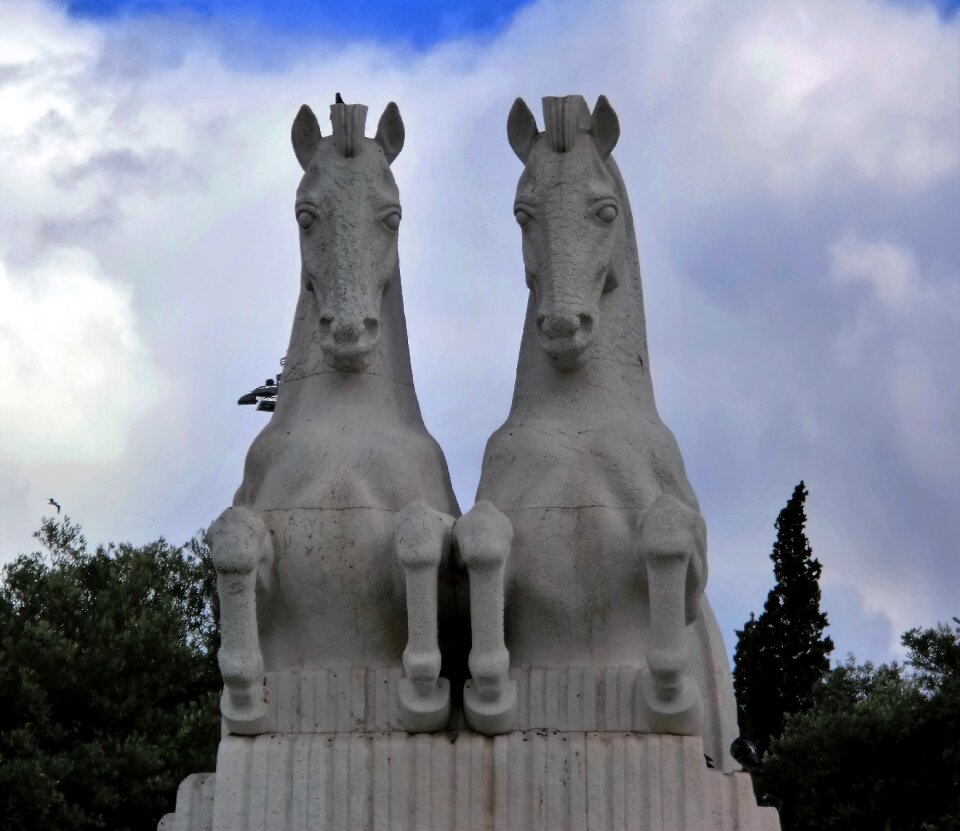 Twin chess piece need