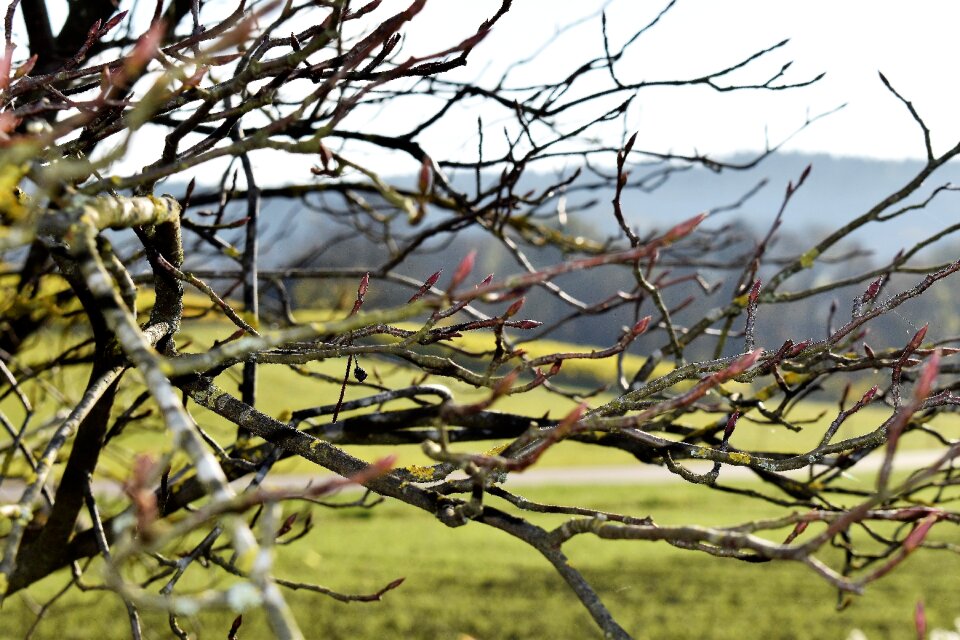 Aesthetic landscape close up