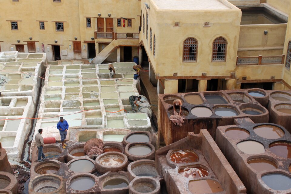 Tannery morocco skins