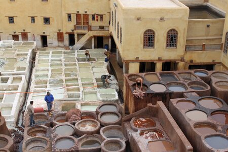 Tannery morocco skins