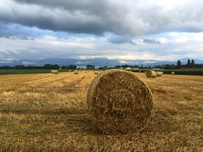 Agricultural harvest nature