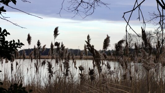 Nature environment ecology