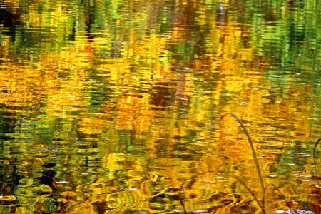 Lake pond mirroring photo
