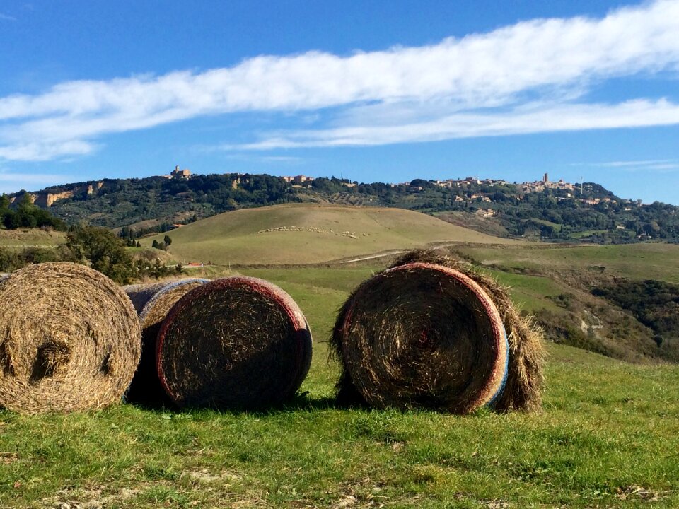 Hill volterra green