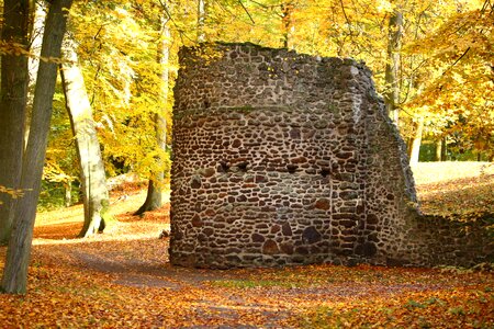 Feilenmoos rasenerz clumping stone photo