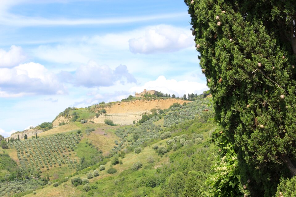 Campaign cypress volterra