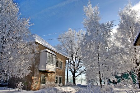 Winter snow village photo