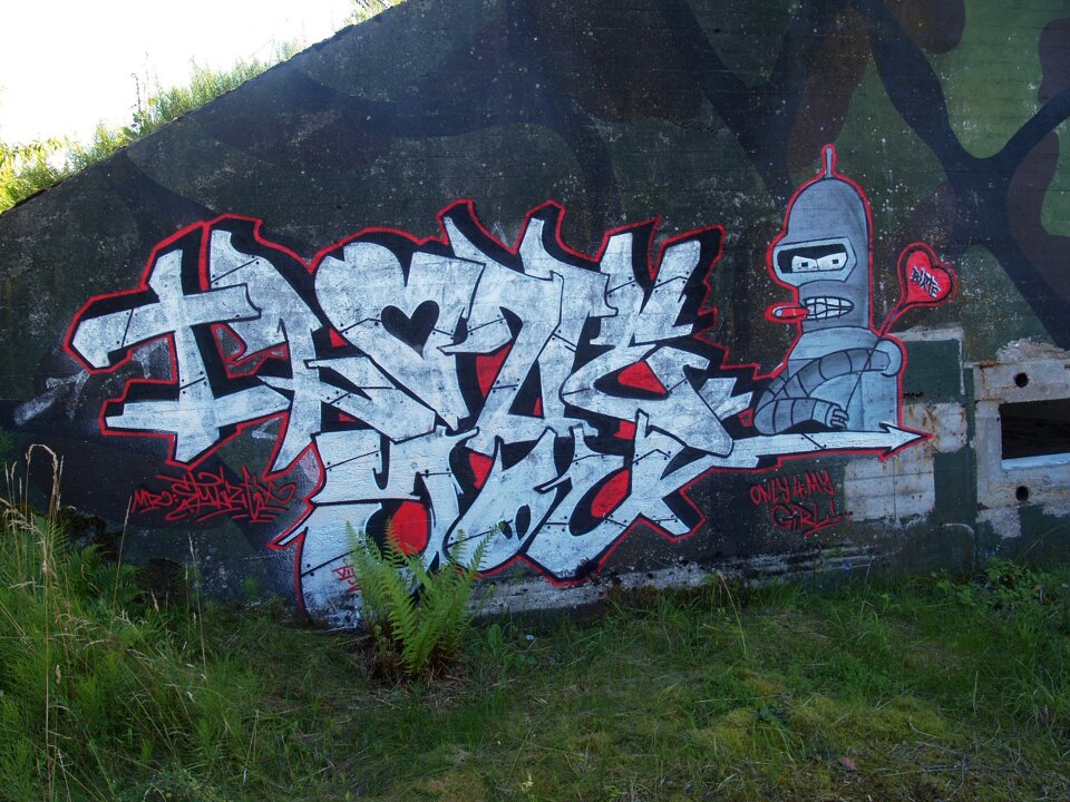 Wall graffiti wall paint