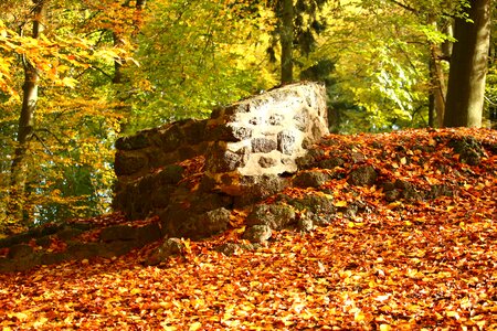 Masonry wall stone