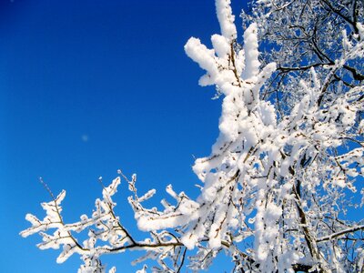 Winter snow village photo