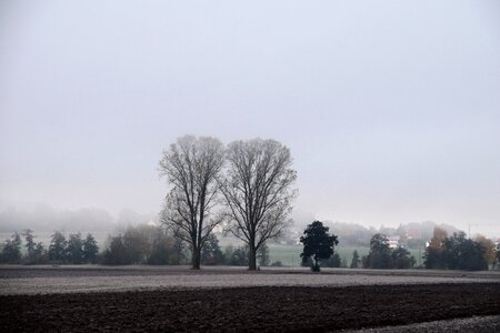 Fog mood fog day