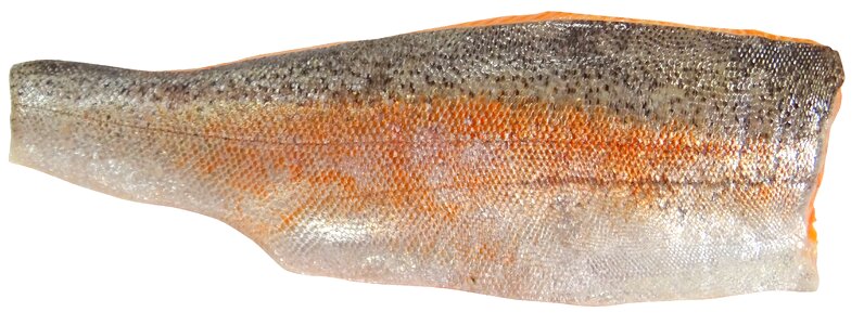 Fillet fish food
