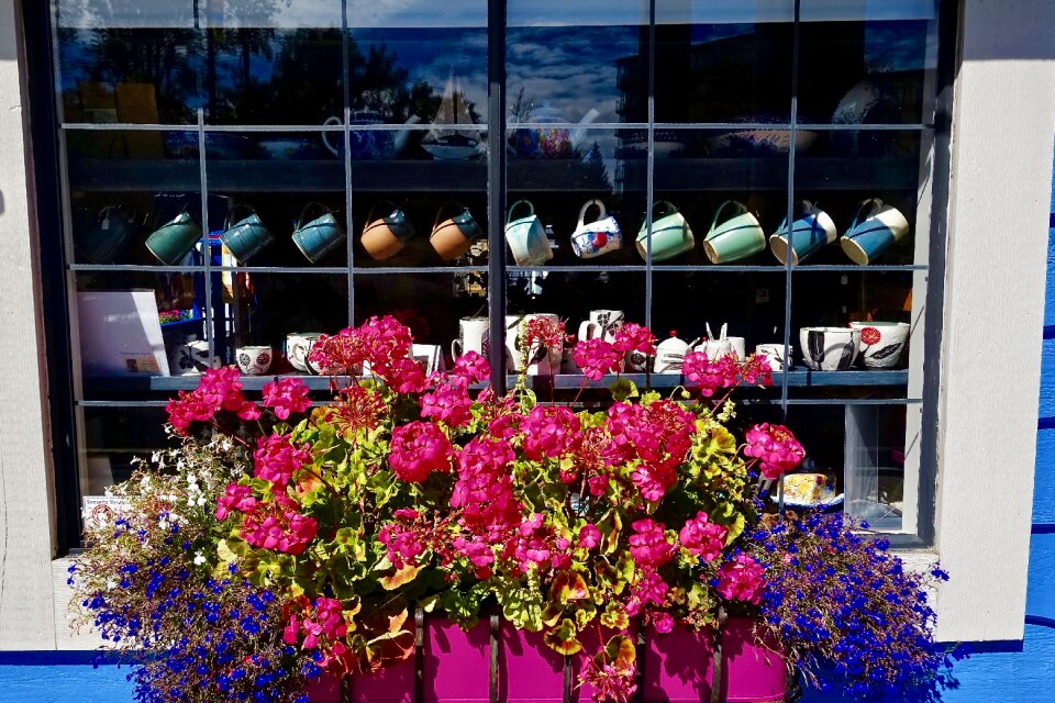 Display window