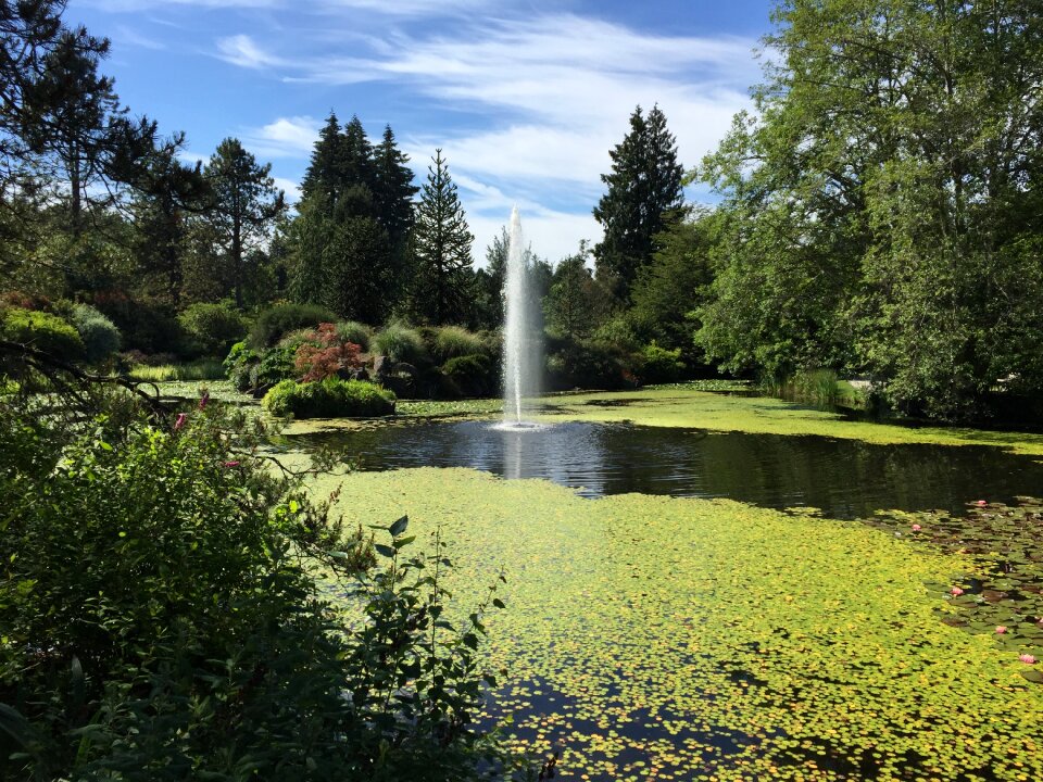 Park fountain pond