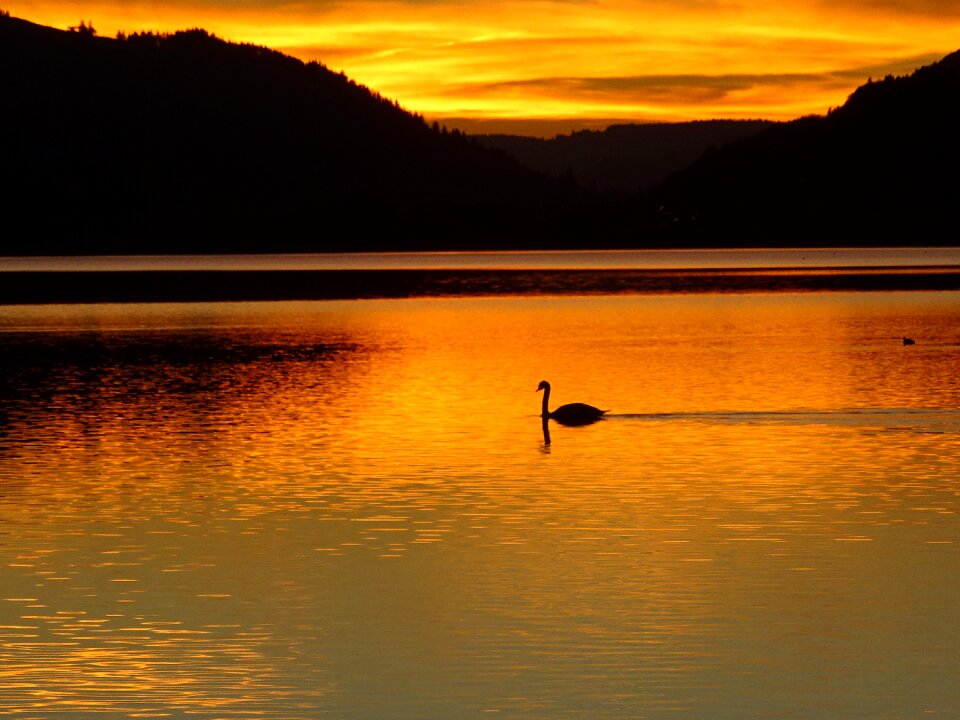Alpsee immenstadt in allgäu twilight